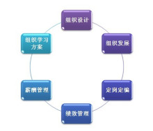 北京智鼎管理咨询 专业护航，驱动企业卓越成长