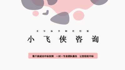 河南小飞侠企业管理咨询公司 专业助力企业腾飞的智慧伙伴